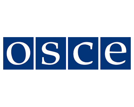 Analytik OBSE na Slovensku